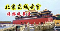 日本三P淫乱中国北京-东城古宫旅游风景区